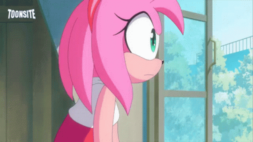 Shadow Carries Amy Rose GIF