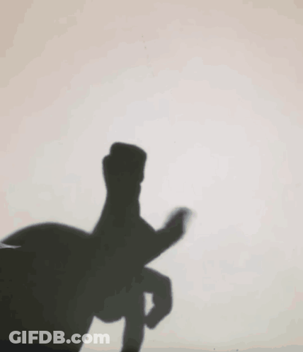 Shadow Hand Making Peace Sign GIF