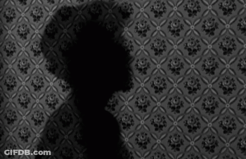 Shadow Of Person On Floral Wallpaper GIF