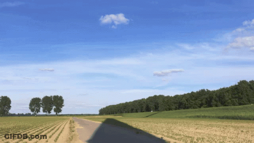 Shadow Of Person On Road In Field GIF