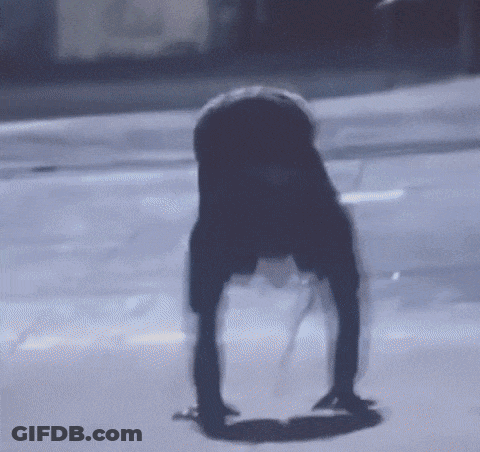 Shadow Of Person On Sidewalk GIF