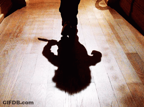 Shadow Person Holding Knife Wood Floor GIF