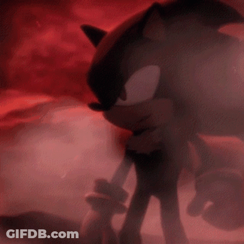 Shadow The Hedgehog After Fight GIF