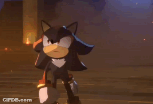 Shadow The Hedgehog And Blaze The Rabbit Standing In Dark Room GIF