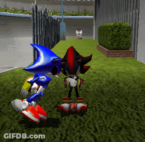 Shadow The Hedgehog And Metal Sonic Are Standing Next To Each Other In A Video Game GIF