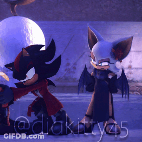 Shadow The Hedgehog And Rouge The Bat Standing Side By Side On Purple Background GIF