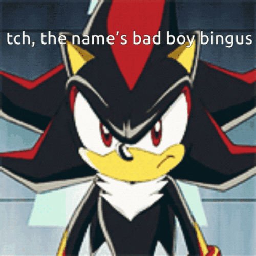 Shadow The Hedgehog Bad Boy GIF