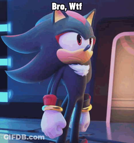 Shadow The Hedgehog Bro WTF GIF