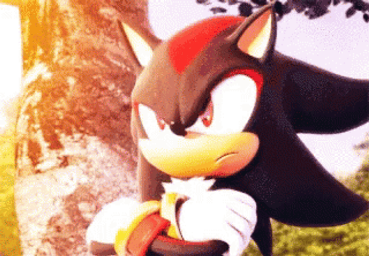 Shadow The Hedgehog Disappointed SMH GIF