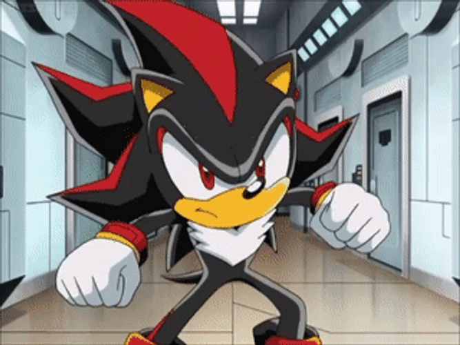 Shadow The Hedgehog Explosion GIF