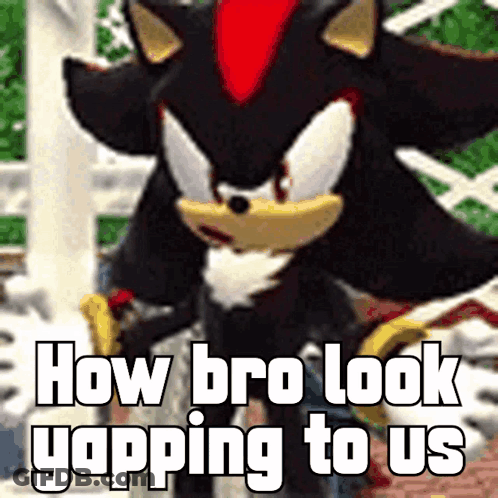 Shadow The Hedgehog From The Video Game Sonic The Hedgehog Says How Bro Look Yapping To Us . GIF