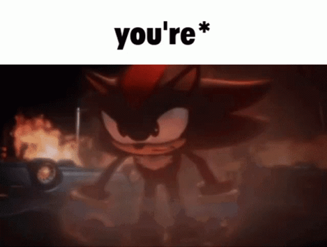 Shadow The Hedgehog Grammar Sensitive GIF