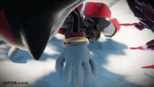 Shadow The Hedgehog With Ring GIF