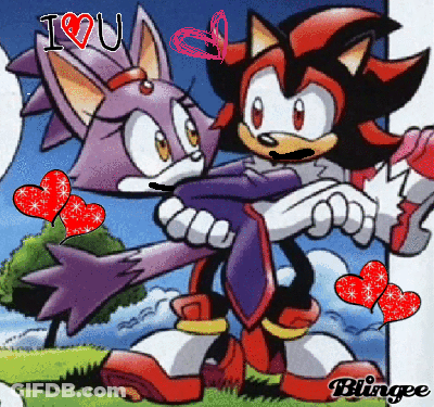 Shadow The Hedgehog Holding Blaze The Cat GIF