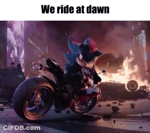 Shadow The Hedgehog Is Riding A Motorcycle In A City . GIF