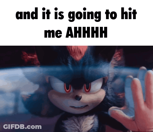 Shadow The Hedgehog It's Going To Hit Me GIF