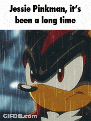 Shadow The Hedgehog Jessie Pinkman It's Been A Long Time GIF