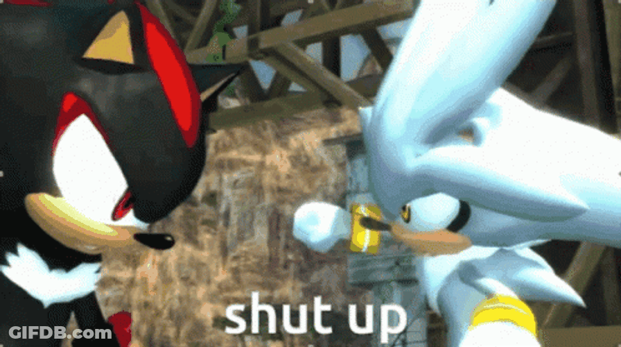 Shadow The Hedgehog Kick GIF