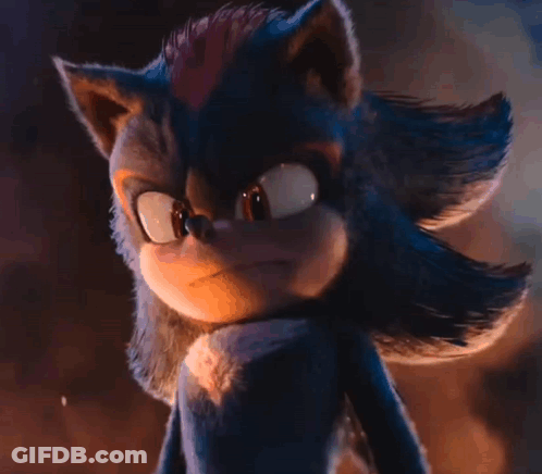 Shadow The Hedgehog Looking At Camera GIF