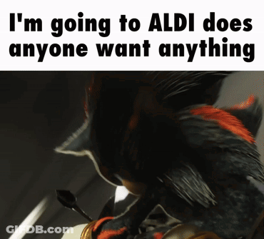 Shadow The Hedgehog Meme Going To Aldi GIF