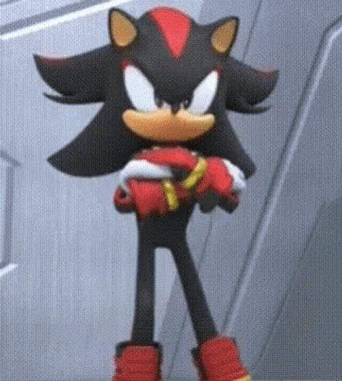 Shadow The Hedgehog No GIF