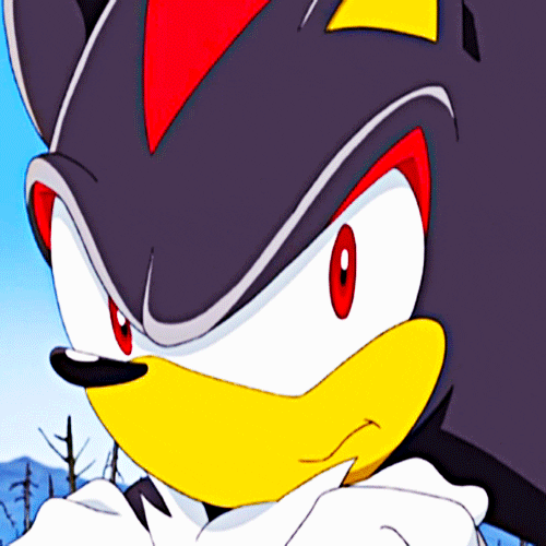 Shadow The Hedgehog Nope GIF