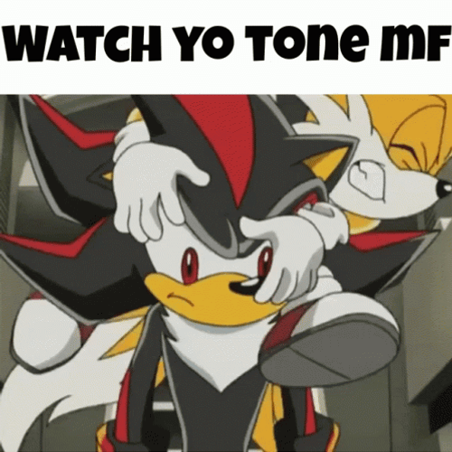 Shadow The Hedgehog Punch Tails GIF