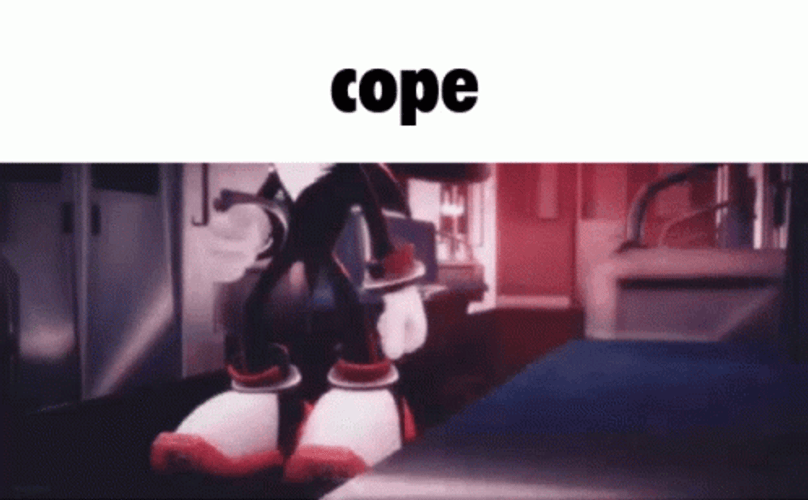 Shadow The Hedgehog Punch GIF