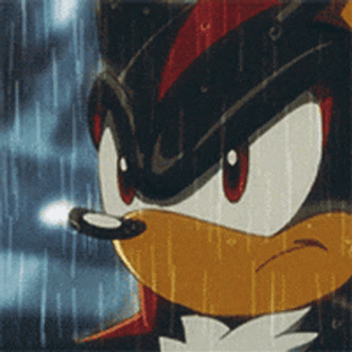 Shadow The Hedgehog Rained On GIF