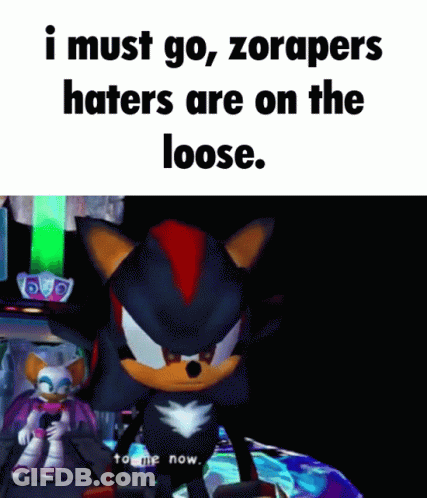 Shadow The Hedgehog Saying I Must Go Zorapers Haters Are On The Loose To Me Now GIF