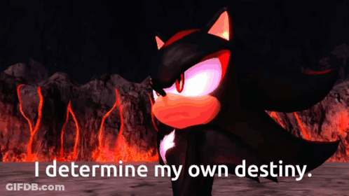 Shadow The Hedgehog Says I Determine My Own Destiny GIF