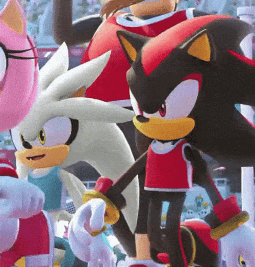 Shadow The Hedgehog See You GIF