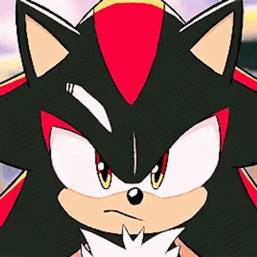 Shadow The Hedgehog Serious Face GIF