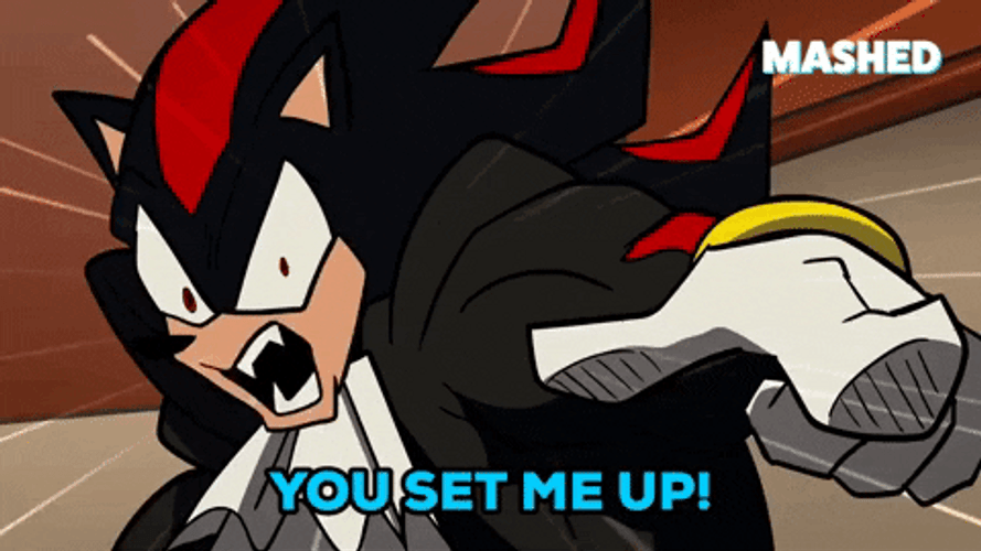Shadow The Hedgehog Set Up GIF