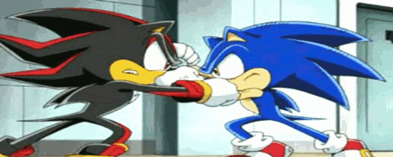 Shadow The Hedgehog Sonic Fighting GIF