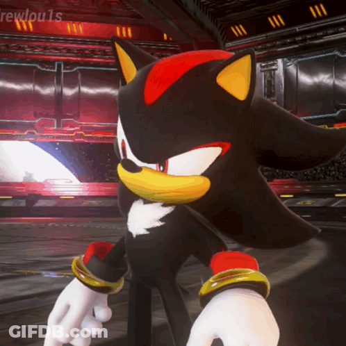 Shadow The Hedgehog Standing In A Room GIF