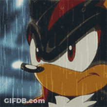 Shadow The Hedgehog Standing In Rain GIF