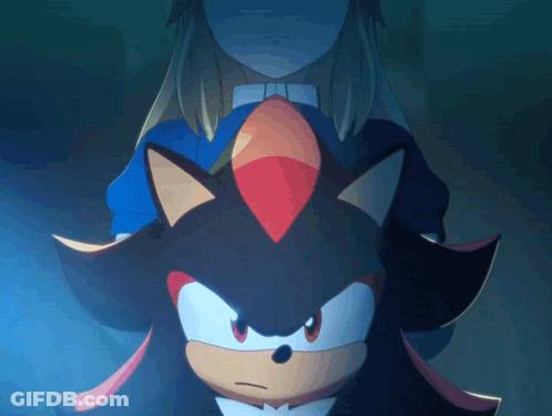 Shadow The Hedgehog Standing Next To Girl GIF