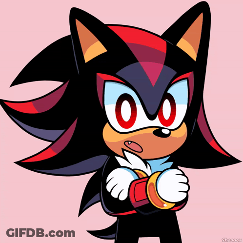 Shadow The Hedgehog With Red Ring GIF