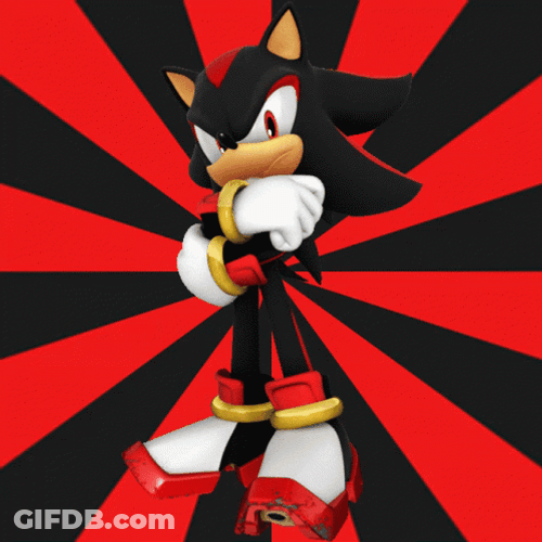 Shadow The Hedgehog GIF