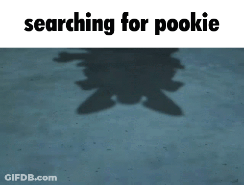 Shadow With Searching For Pookie GIF