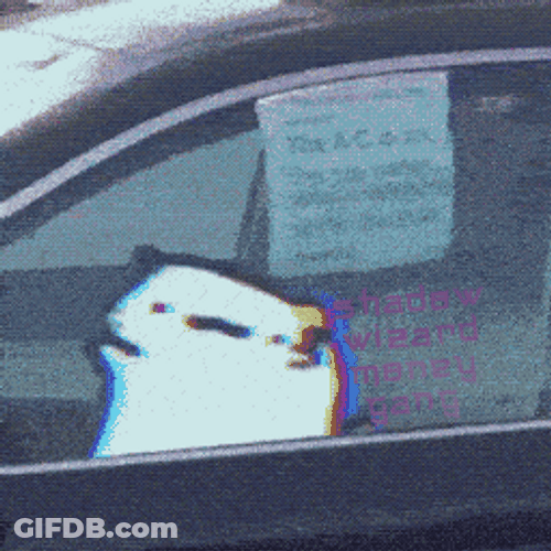 Shadow Wizard Money Gang Cat GIF
