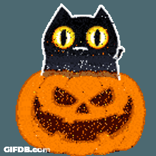 Shadowkitty Kitty Sticker GIF