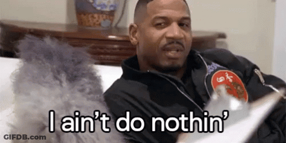 Shaggy It Wasnt Me Innocent Stevie GIF