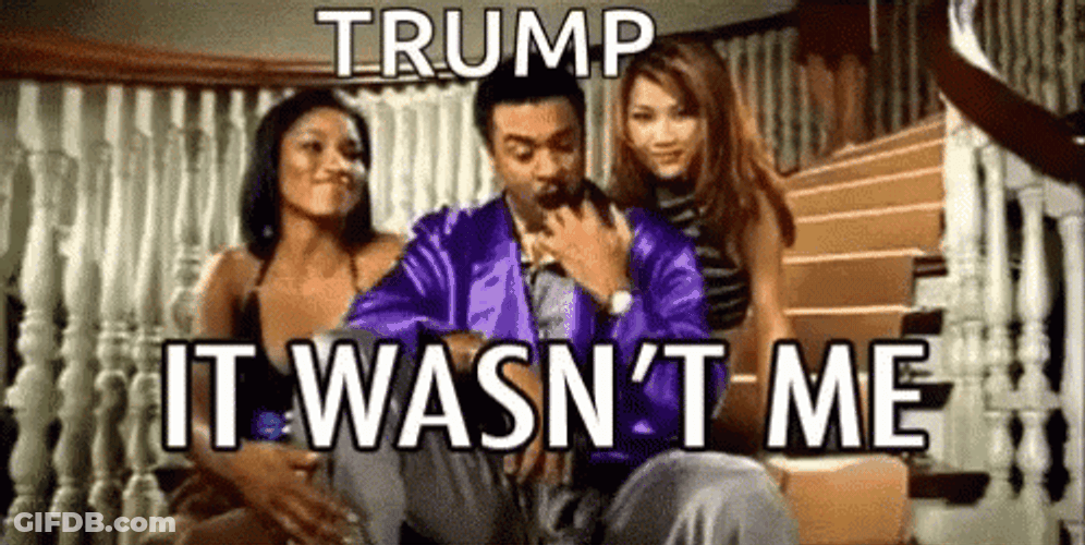 Shaggy It Wasnt Me Trump Meme GIF