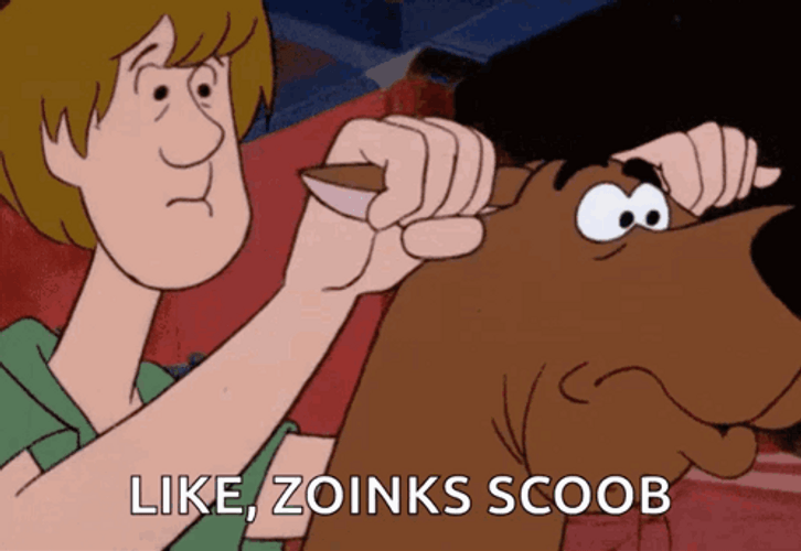 Shaggy Riding Scooby Doo Speedy Run GIF