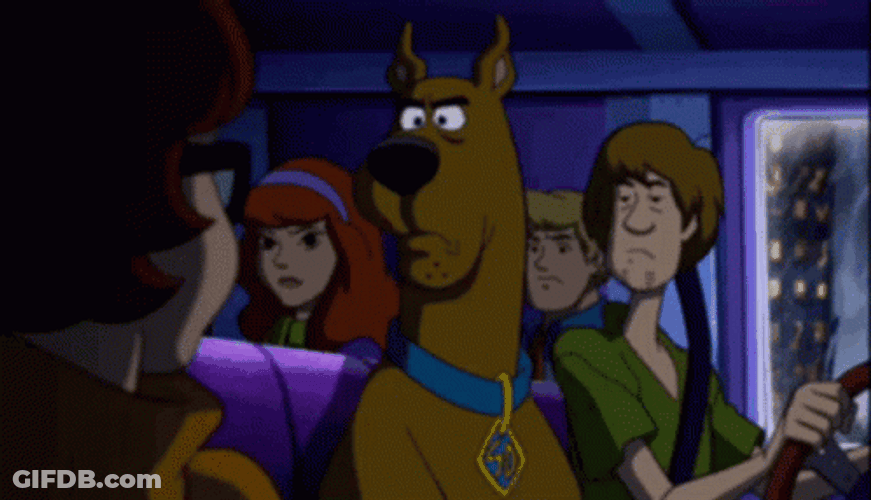 Shaggy Road Trip With Scooby Doo GIF