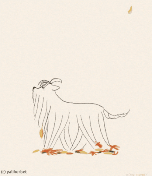 Shaggy Walks On Falling Leaves GIF