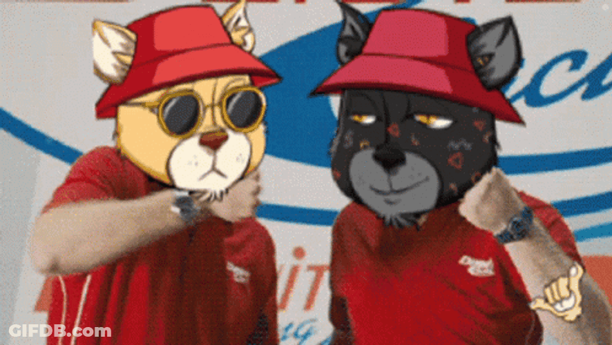 Shake And Bake Bear Pair Meme GIF