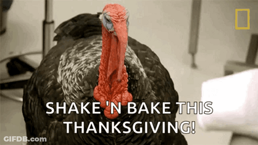 Shake And Bake This Thanksgiving Turkey GIF